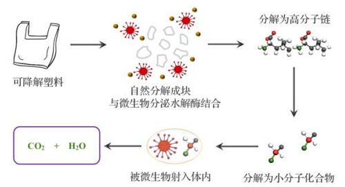 可降解塑料的降解机理：生物降解与光降解篇