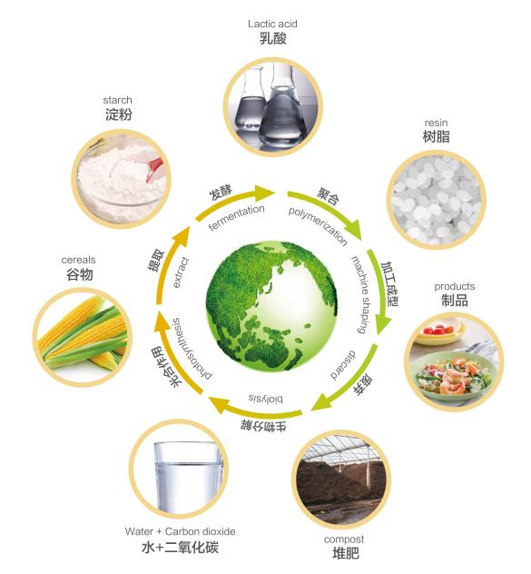 科学认识可降解塑料