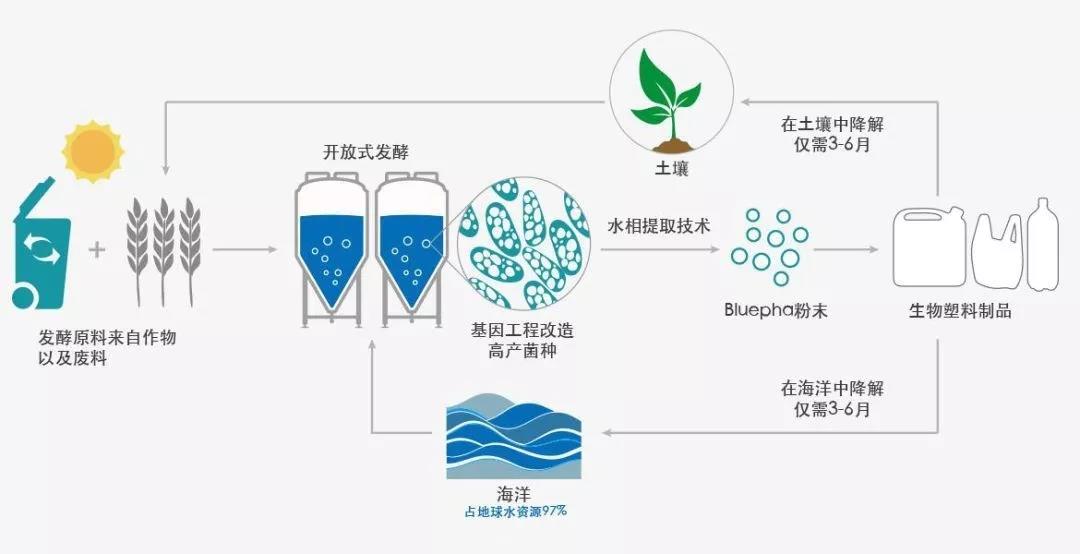 天博品牌科技官网