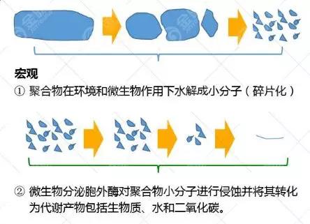 天博品牌科技官网