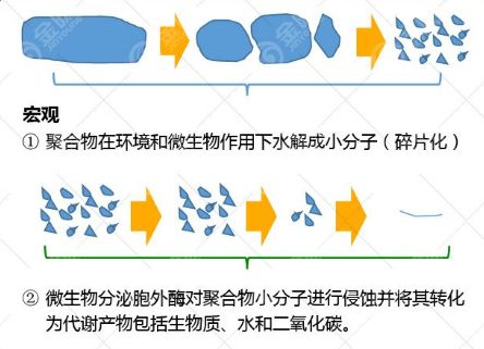 天博品牌科技