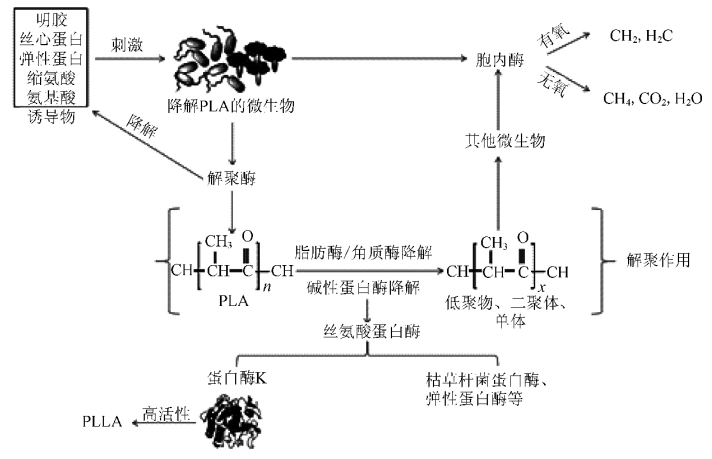 天博品牌科技