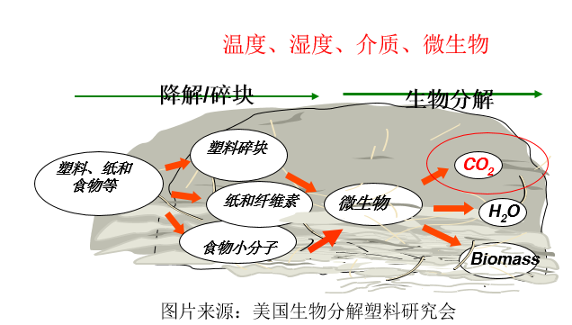 天博品牌科技